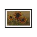Picture of Sunflower In The Evening II _GroupedProduct_Rectangle_Landscape_Framed_Matted_