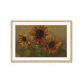 Picture of Sunflower In The Evening II _GroupedProduct_Rectangle_Landscape_Framed_Matted_