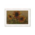 Picture of Sunflower In The Evening II _GroupedProduct_Rectangle_Landscape_Framed_Matted_