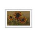 Picture of Sunflower In The Evening II _GroupedProduct_Rectangle_Landscape_Framed_Matted_
