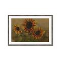 Picture of Sunflower In The Evening II _GroupedProduct_Rectangle_Landscape_Framed_Matted_