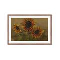 Picture of Sunflower In The Evening II _GroupedProduct_Rectangle_Landscape_Framed_Matted_