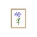 Picture of Purple Petunia I _GroupedProduct_Rectangle_Portrait_Framed_Matted_