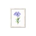 Picture of Purple Petunia I _GroupedProduct_Rectangle_Portrait_Framed_Matted_