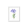 Picture of Purple Petunia I _GroupedProduct_Rectangle_Portrait_Framed_Matted_