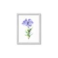 Picture of Purple Petunia I _GroupedProduct_Rectangle_Portrait_Framed_Matted_