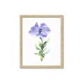 Picture of Purple Petunia I _GroupedProduct_Rectangle_Portrait_Framed_Matted_