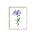 Picture of Purple Petunia I _GroupedProduct_Rectangle_Portrait_Framed_Matted_