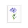 Picture of Purple Petunia I _GroupedProduct_Rectangle_Portrait_Framed_Matted_