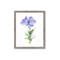 Picture of Purple Petunia I _GroupedProduct_Rectangle_Portrait_Framed_Matted_