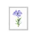 Picture of Purple Petunia I _GroupedProduct_Rectangle_Portrait_Framed_Matted_