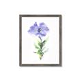 Picture of Purple Petunia I _GroupedProduct_Rectangle_Portrait_Framed_Matted_