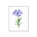 Picture of Purple Petunia I _GroupedProduct_Rectangle_Portrait_Framed_Matted_