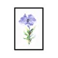 Picture of Purple Petunia I _GroupedProduct_Rectangle_Portrait_Framed_Matted_
