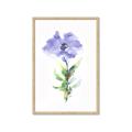 Picture of Purple Petunia I _GroupedProduct_Rectangle_Portrait_Framed_Matted_
