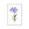 Picture of Purple Petunia I _GroupedProduct_Rectangle_Portrait_Framed_Matted_