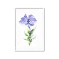 Picture of Purple Petunia I _GroupedProduct_Rectangle_Portrait_Framed_Matted_