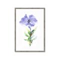 Picture of Purple Petunia I _GroupedProduct_Rectangle_Portrait_Framed_Matted_