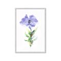 Picture of Purple Petunia I _GroupedProduct_Rectangle_Portrait_Framed_Matted_