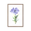 Picture of Purple Petunia I _GroupedProduct_Rectangle_Portrait_Framed_Matted_