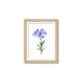 Picture of Purple Petunia I _GroupedProduct_Rectangle_Portrait_Framed_Matted_
