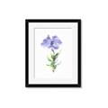 Picture of Purple Petunia I _GroupedProduct_Rectangle_Portrait_Framed_Matted_