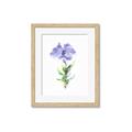 Picture of Purple Petunia I _GroupedProduct_Rectangle_Portrait_Framed_Matted_