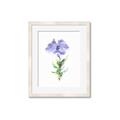 Picture of Purple Petunia I _GroupedProduct_Rectangle_Portrait_Framed_Matted_