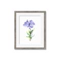 Picture of Purple Petunia I _GroupedProduct_Rectangle_Portrait_Framed_Matted_
