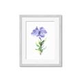 Picture of Purple Petunia I _GroupedProduct_Rectangle_Portrait_Framed_Matted_