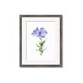 Picture of Purple Petunia I _GroupedProduct_Rectangle_Portrait_Framed_Matted_