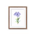 Picture of Purple Petunia I _GroupedProduct_Rectangle_Portrait_Framed_Matted_