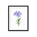 Picture of Purple Petunia I _GroupedProduct_Rectangle_Portrait_Framed_Matted_