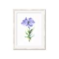 Picture of Purple Petunia I _GroupedProduct_Rectangle_Portrait_Framed_Matted_