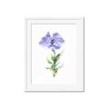Picture of Purple Petunia I _GroupedProduct_Rectangle_Portrait_Framed_Matted_