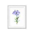 Picture of Purple Petunia I _GroupedProduct_Rectangle_Portrait_Framed_Matted_