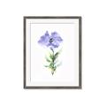 Picture of Purple Petunia I _GroupedProduct_Rectangle_Portrait_Framed_Matted_