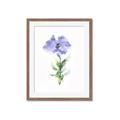 Picture of Purple Petunia I _GroupedProduct_Rectangle_Portrait_Framed_Matted_