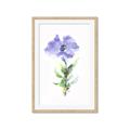 Picture of Purple Petunia I _GroupedProduct_Rectangle_Portrait_Framed_Matted_