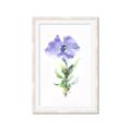 Picture of Purple Petunia I _GroupedProduct_Rectangle_Portrait_Framed_Matted_