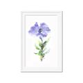 Picture of Purple Petunia I _GroupedProduct_Rectangle_Portrait_Framed_Matted_