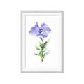 Picture of Purple Petunia I _GroupedProduct_Rectangle_Portrait_Framed_Matted_