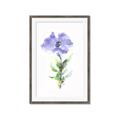 Picture of Purple Petunia I _GroupedProduct_Rectangle_Portrait_Framed_Matted_