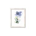Picture of Purple Petunia II _GroupedProduct_Rectangle_Portrait_Framed_Matted_