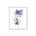 Picture of Purple Petunia II _GroupedProduct_Rectangle_Portrait_Framed_Matted_
