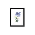 Picture of Purple Petunia II _GroupedProduct_Rectangle_Portrait_Framed_Matted_