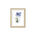 Picture of Purple Petunia II _GroupedProduct_Rectangle_Portrait_Framed_Matted_