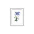 Picture of Purple Petunia II _GroupedProduct_Rectangle_Portrait_Framed_Matted_