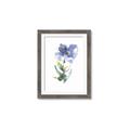 Picture of Purple Petunia II _GroupedProduct_Rectangle_Portrait_Framed_Matted_