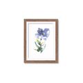 Picture of Purple Petunia II _GroupedProduct_Rectangle_Portrait_Framed_Matted_